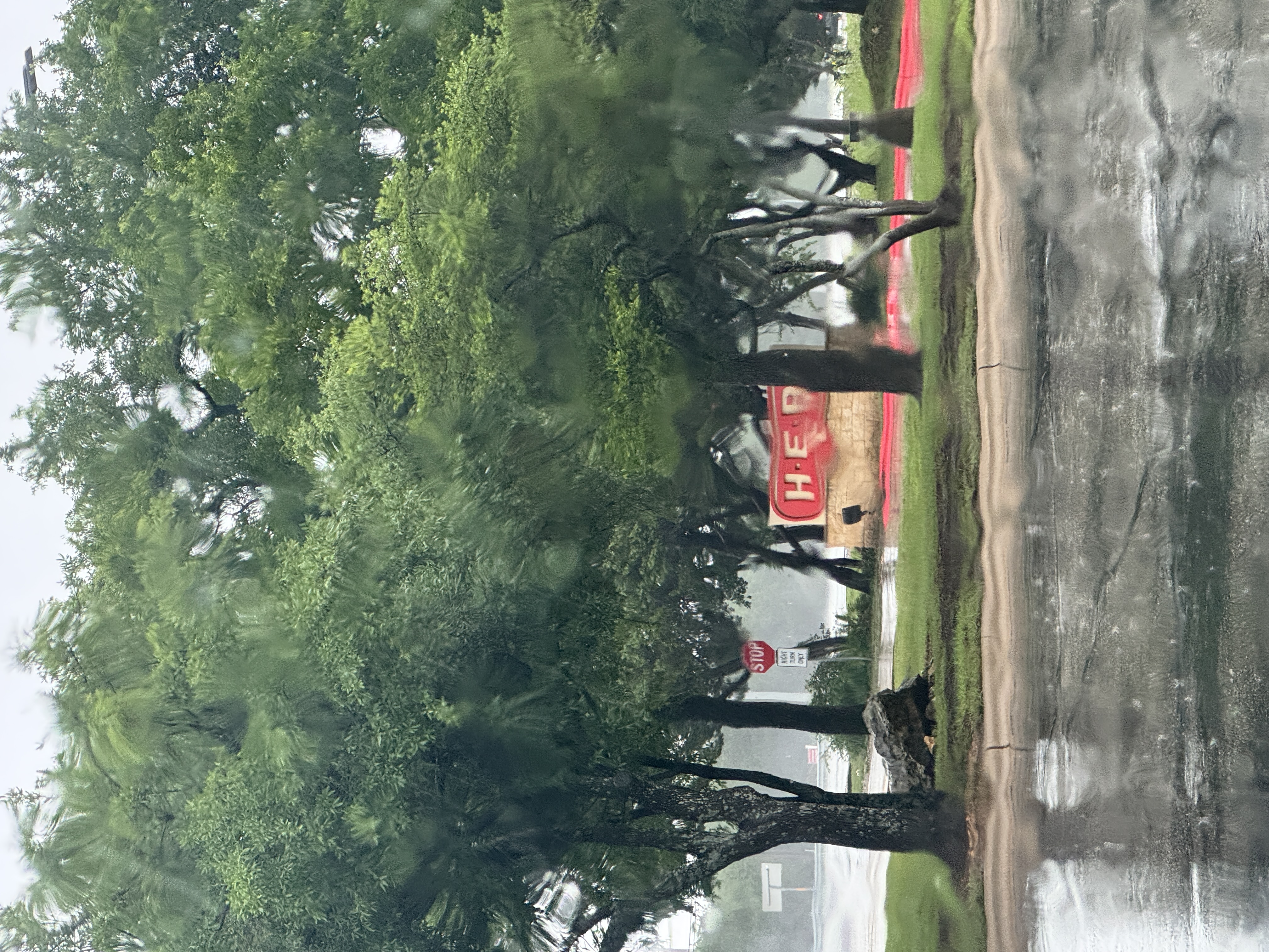 IMG_2118.jpeg